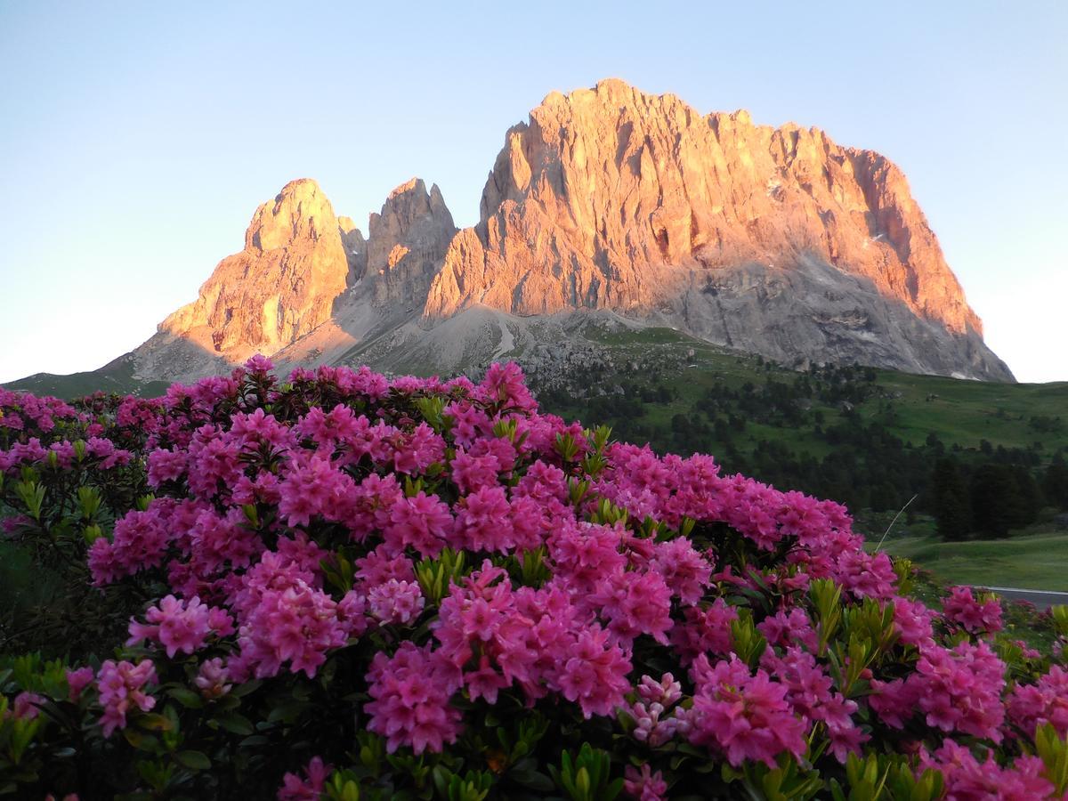Hotel Al Viel B&B กานาเซย์ ภายนอก รูปภาพ